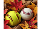 FALL BALL REGISTATION